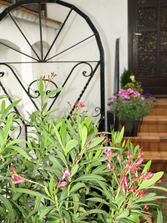 Ferienwohnung Klatschmohn Speyer Eksteriør bilde